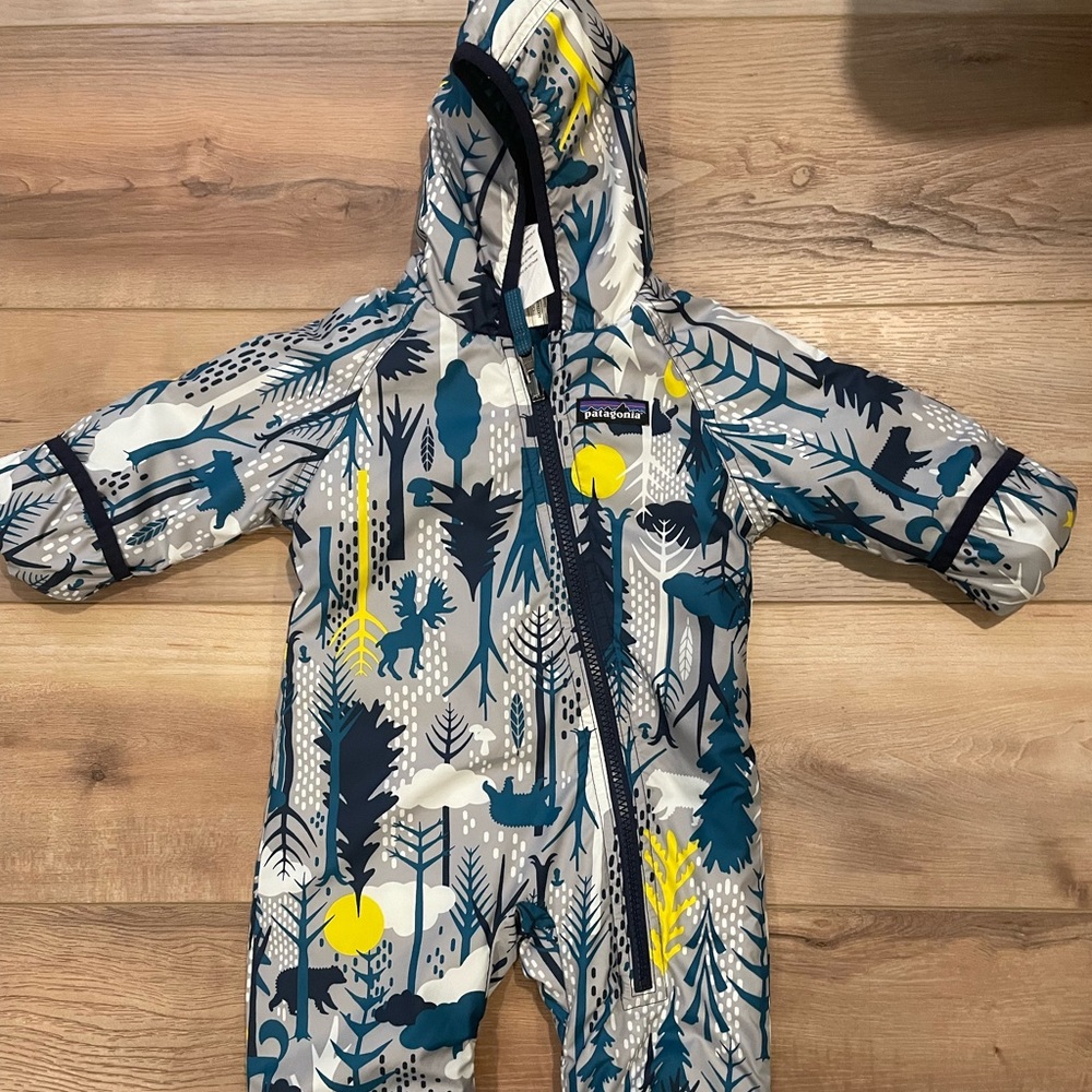 Patagonia Bunting